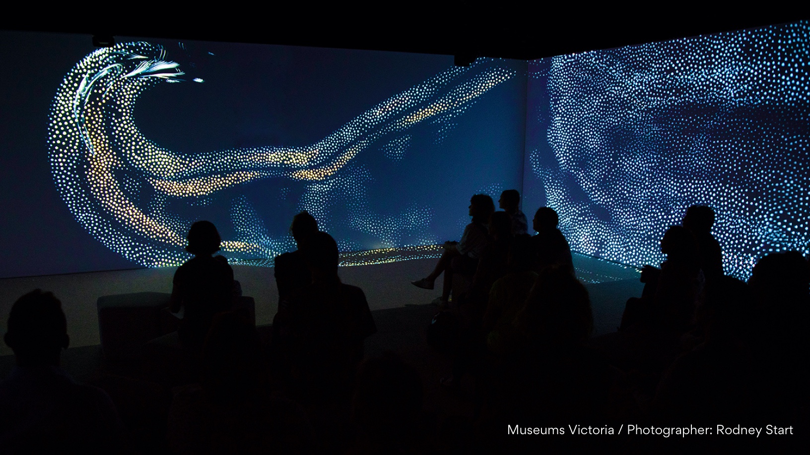 Immersive film installation Thousands of coloured dots create shapes across the floor and wall.